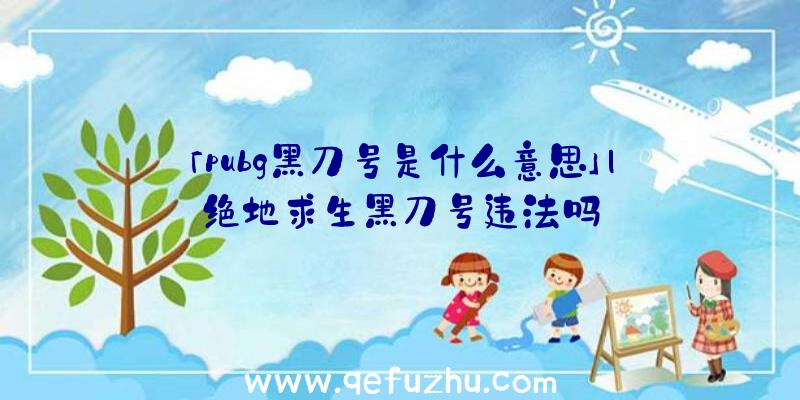 「pubg黑刀号是什么意思」|绝地求生黑刀号违法吗